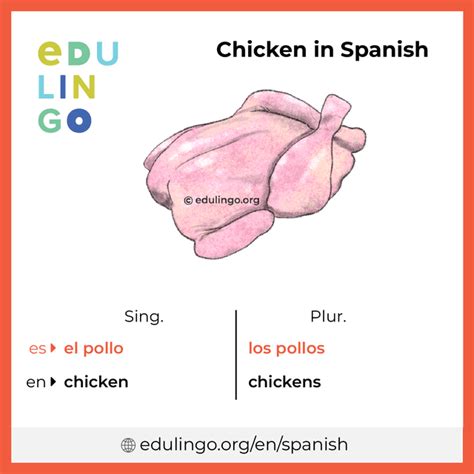 chicken traducción|shredded chicken in spanish translation.